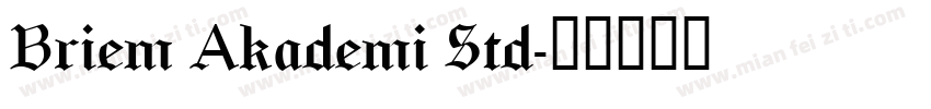 Briem Akademi Std字体转换